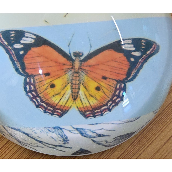 Home Essentials Round Decorative Butterfly Paperweight - Picture 2 of 11